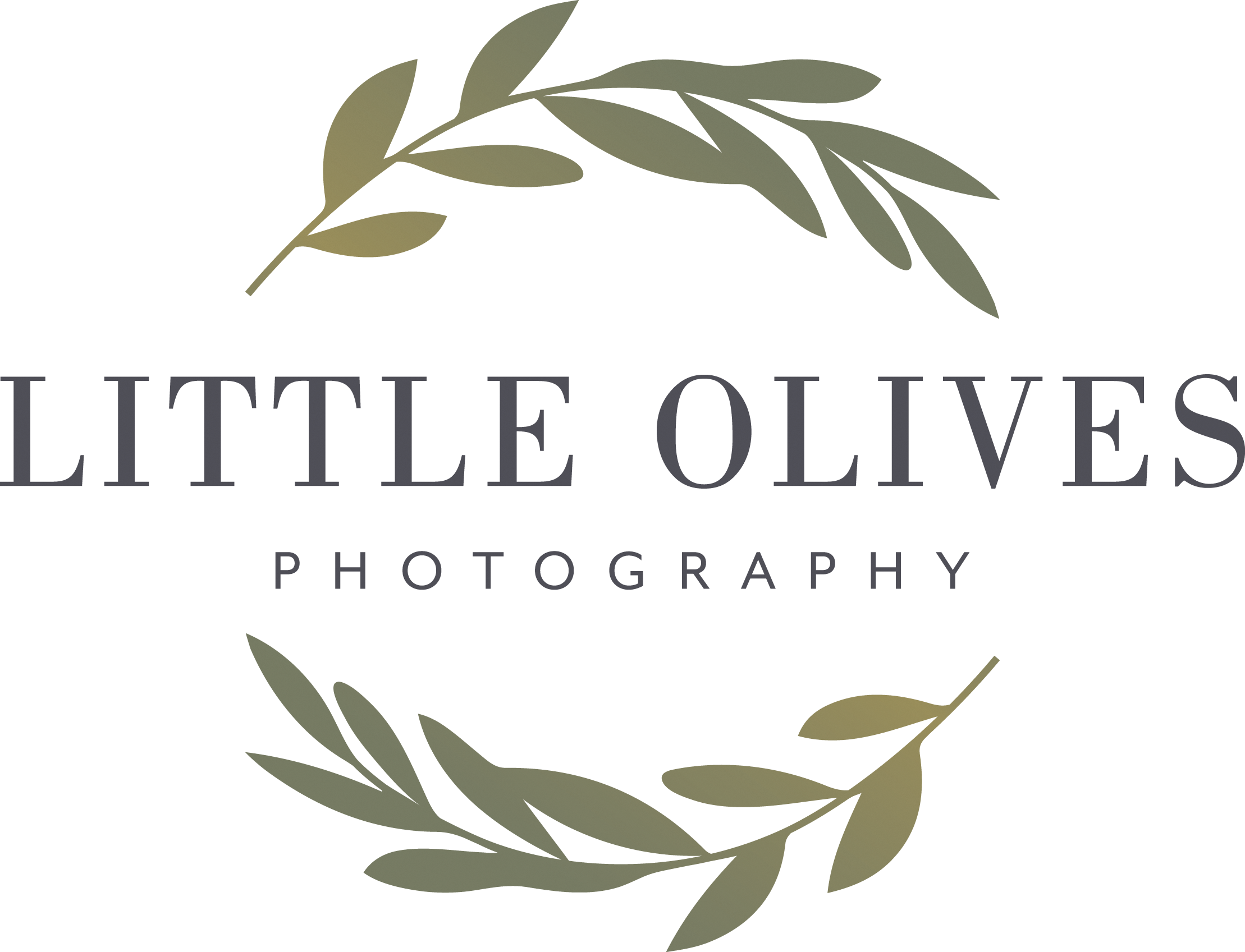 LITTLE OLIVES PHOTOGRAPHY logo