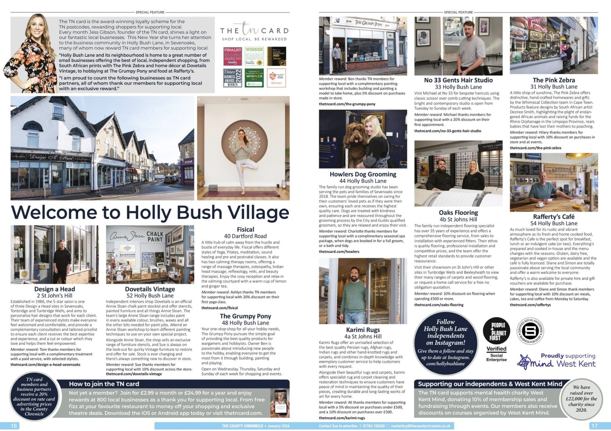 We introduce: Holly Bush Village - image