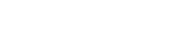 the TN card logo