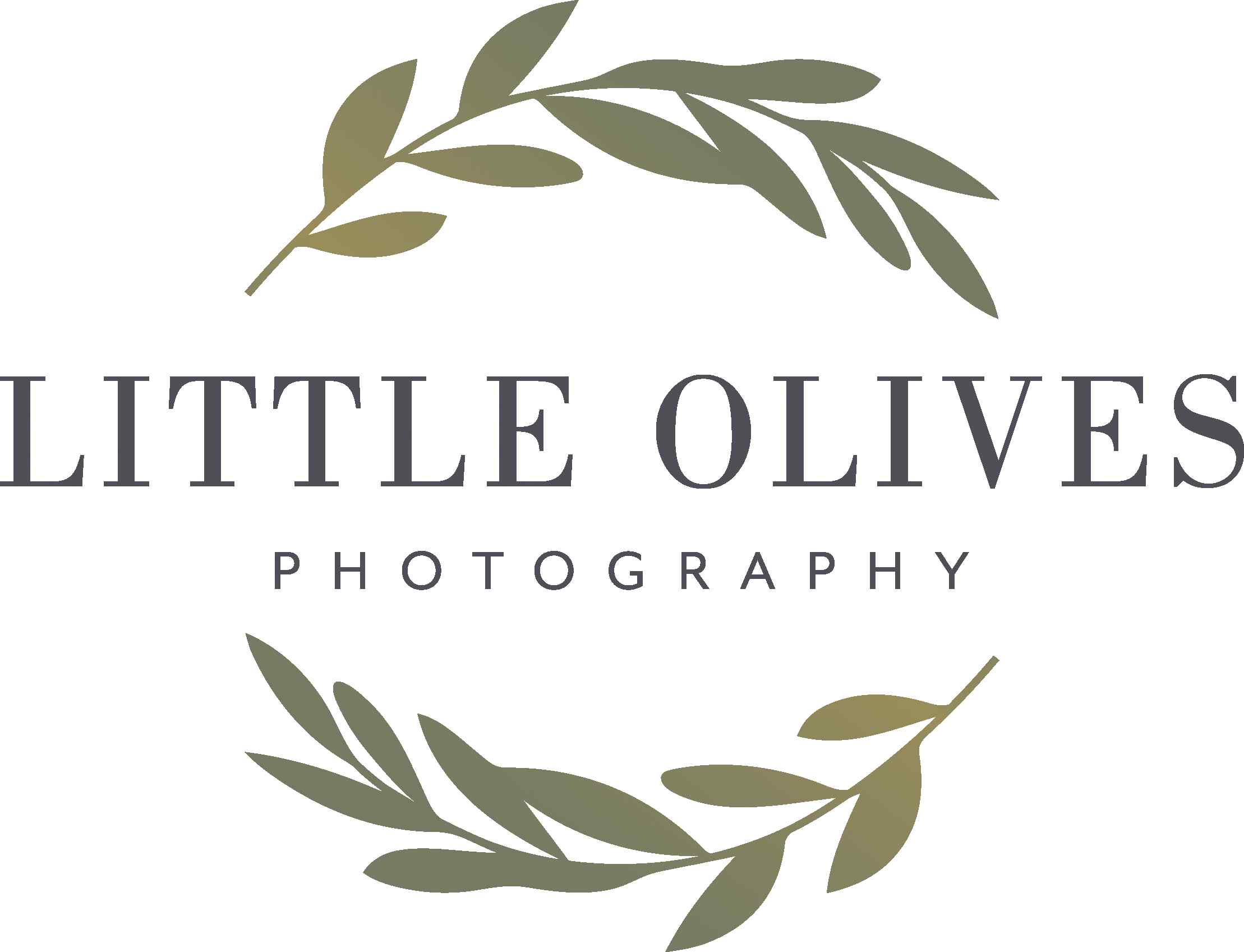 LITTLE OLIVES PHOTOGRAPHY logo