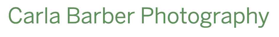 CARLA BARBER PHOTOGRAPHY logo