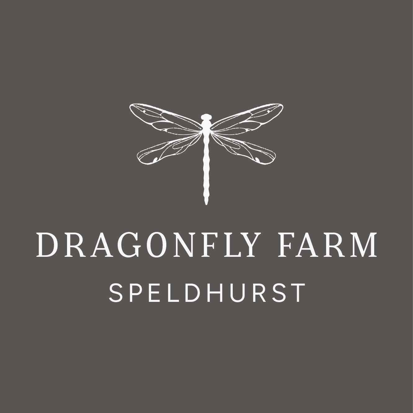 DRAGONFLY FARM logo