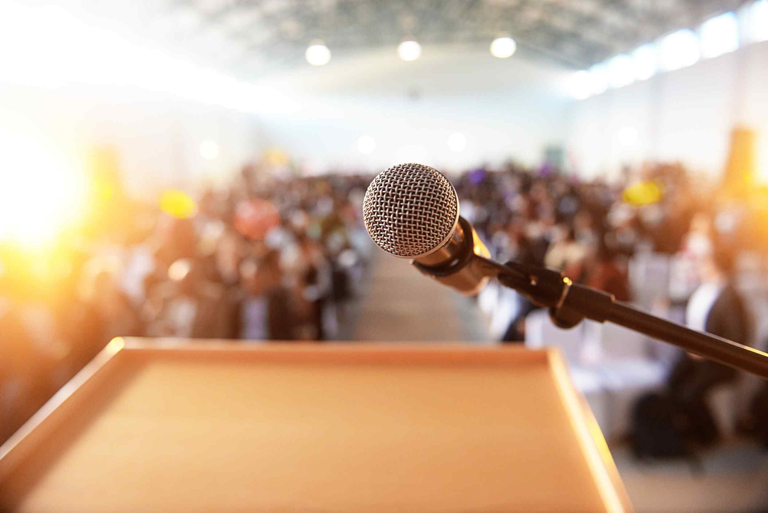 THE SPEAKING MENTOR