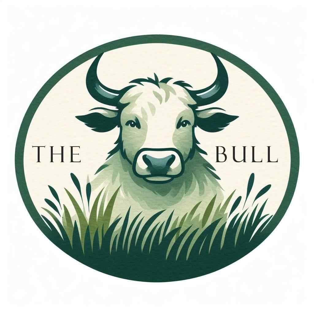 THE BULL logo