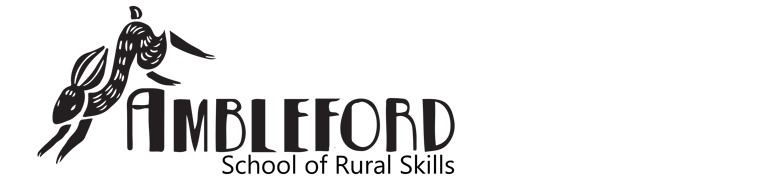 Ambleford Kids Holiday Clubs logo