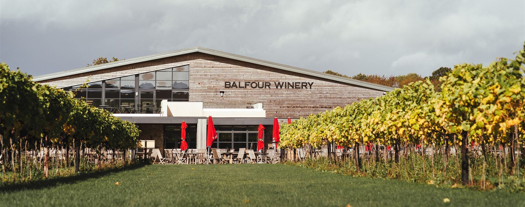 BALFOUR WINERY