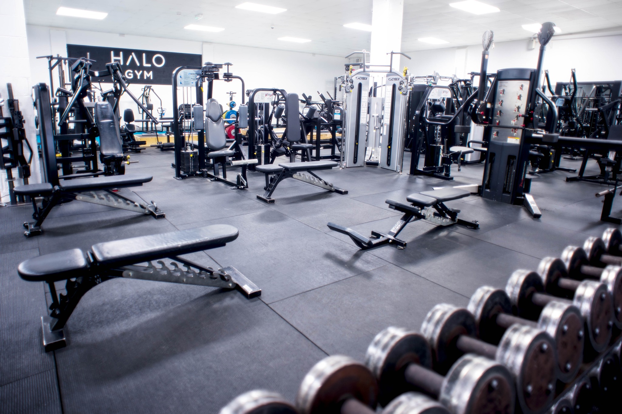 HALO GYM