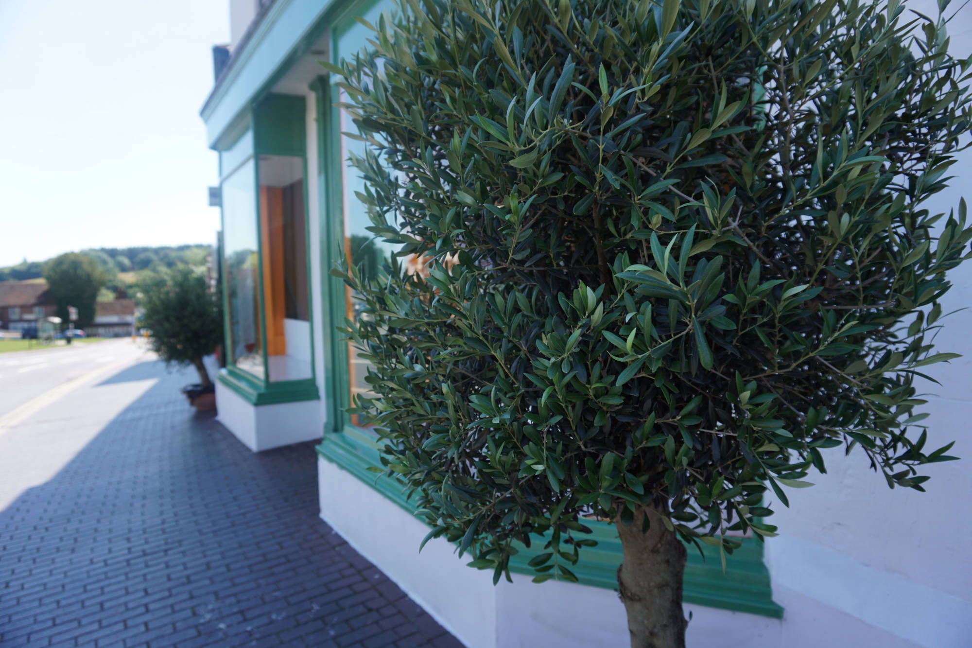 The Italian Shop