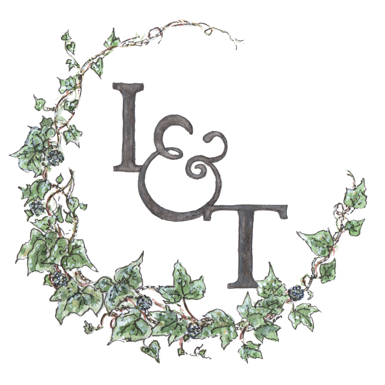 Ivy & Twine logo