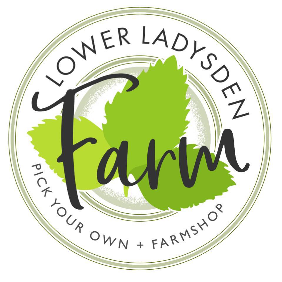 LOWER LADYSDEN logo