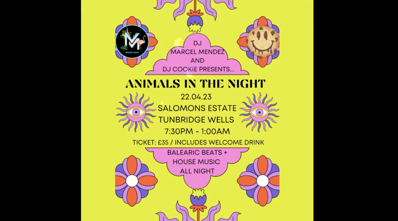 Animals In The Night