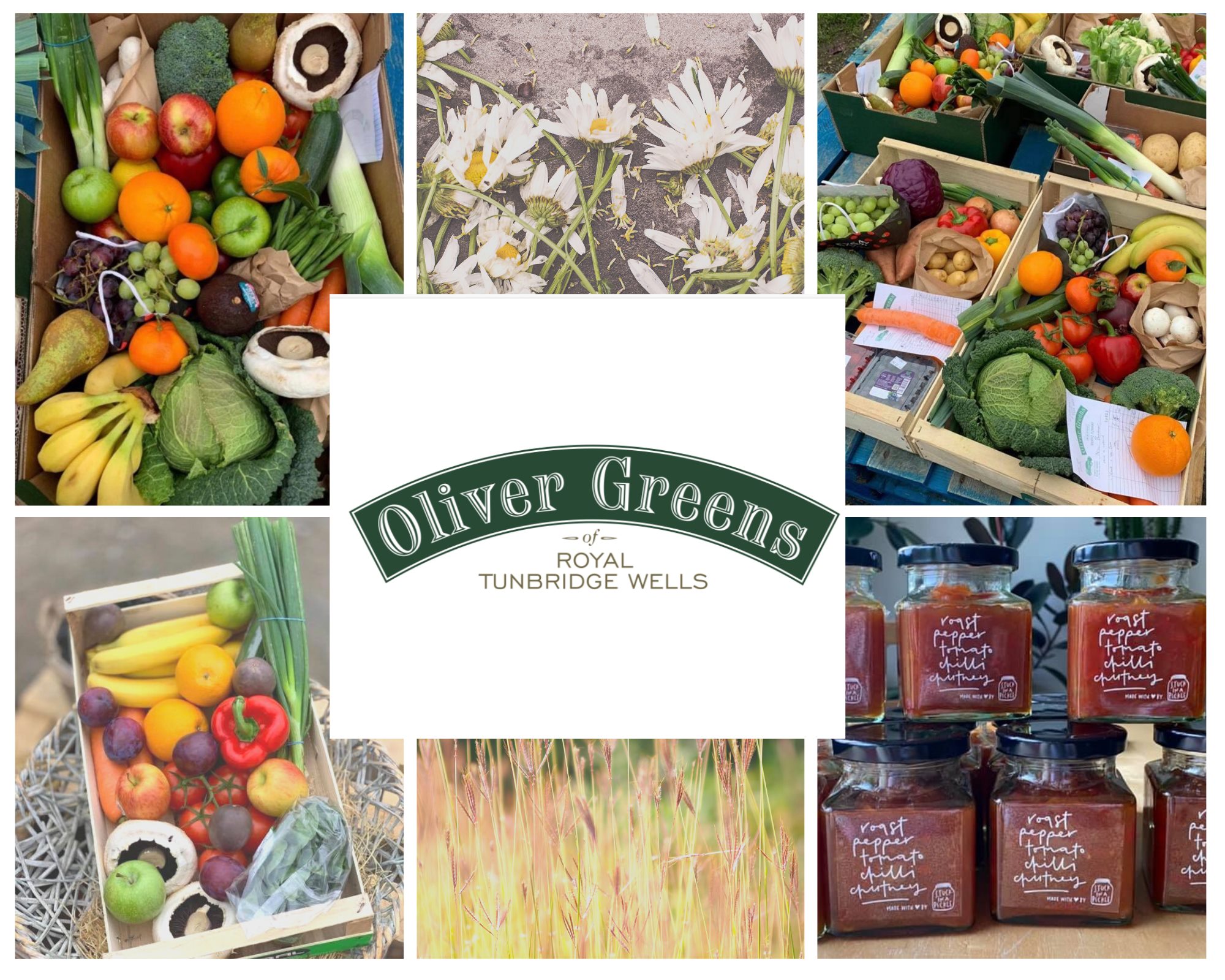 Oliver Greens