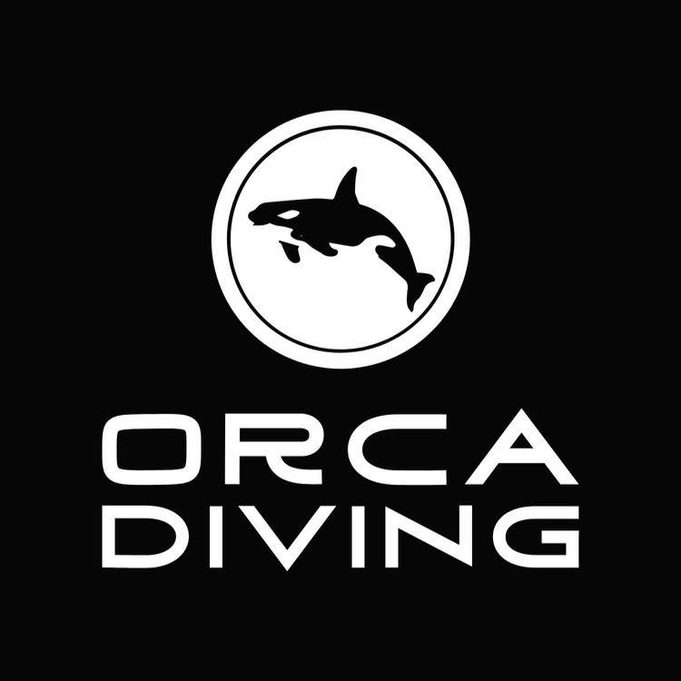 ORCA DIVING logo