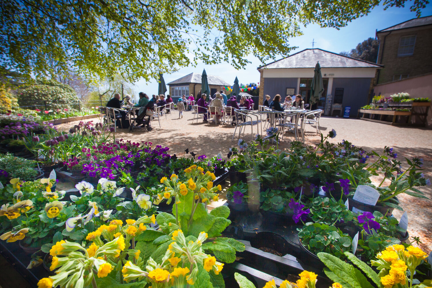 Riverhill Himalayan Gardens