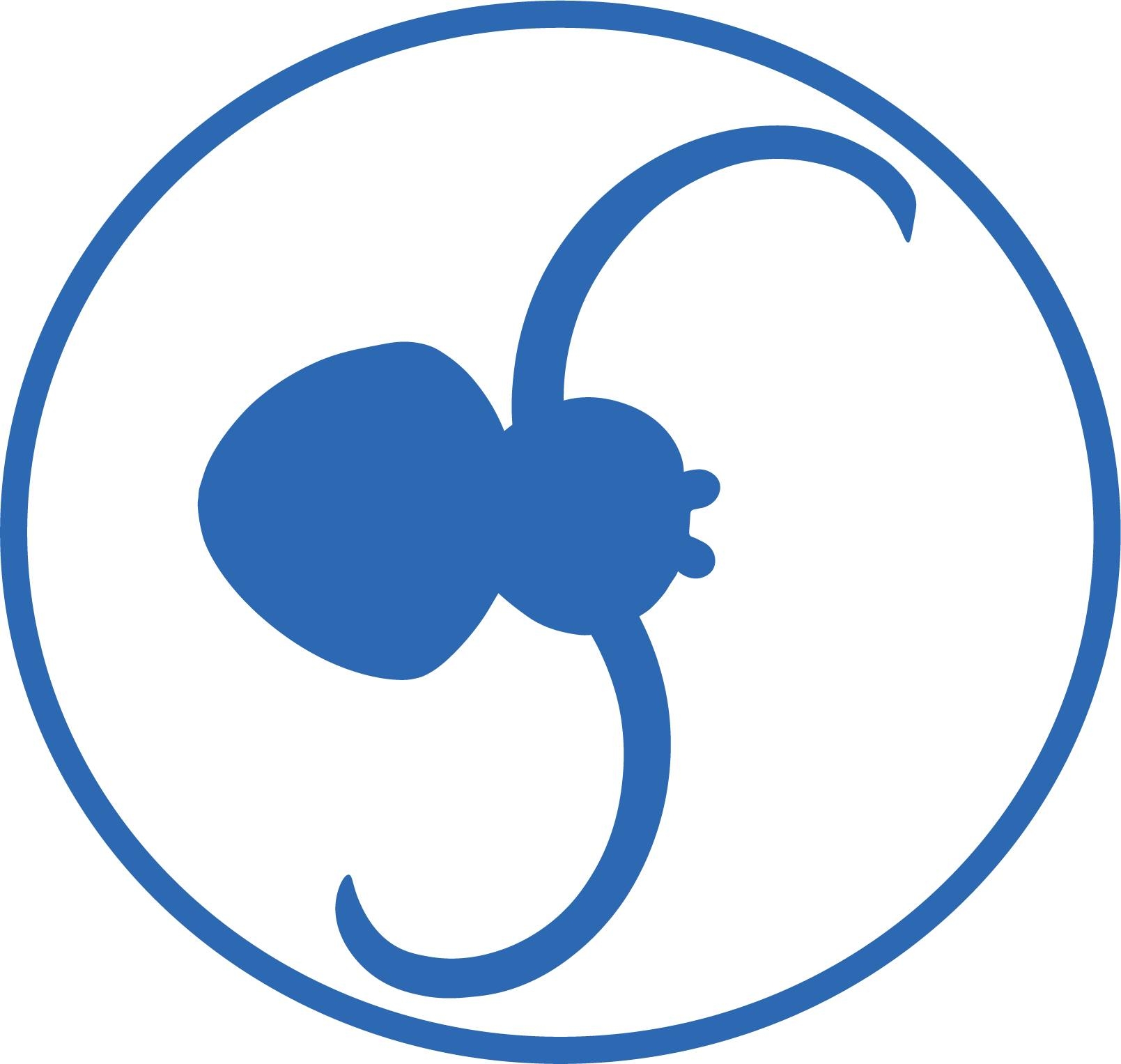 SPIDER WEB SERVICES logo