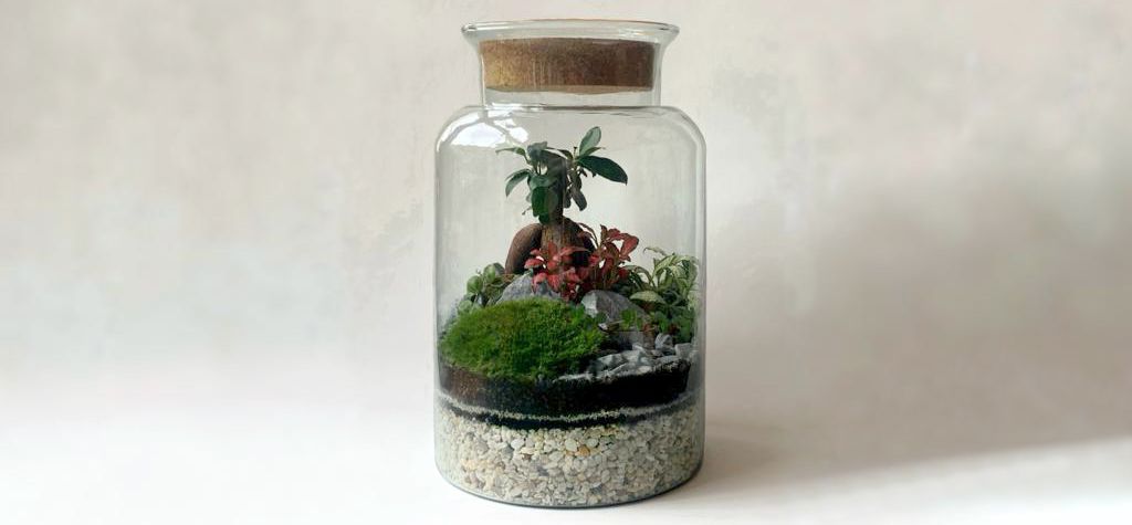 Terrapy