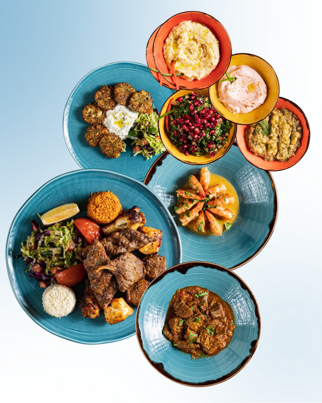 TURK OASIS