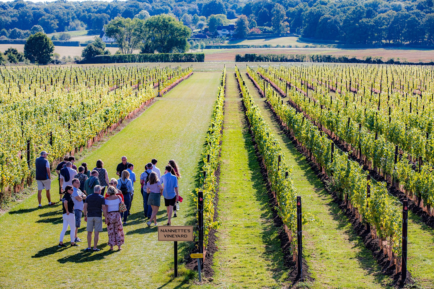 WINE GARDEN OF ENGLAND