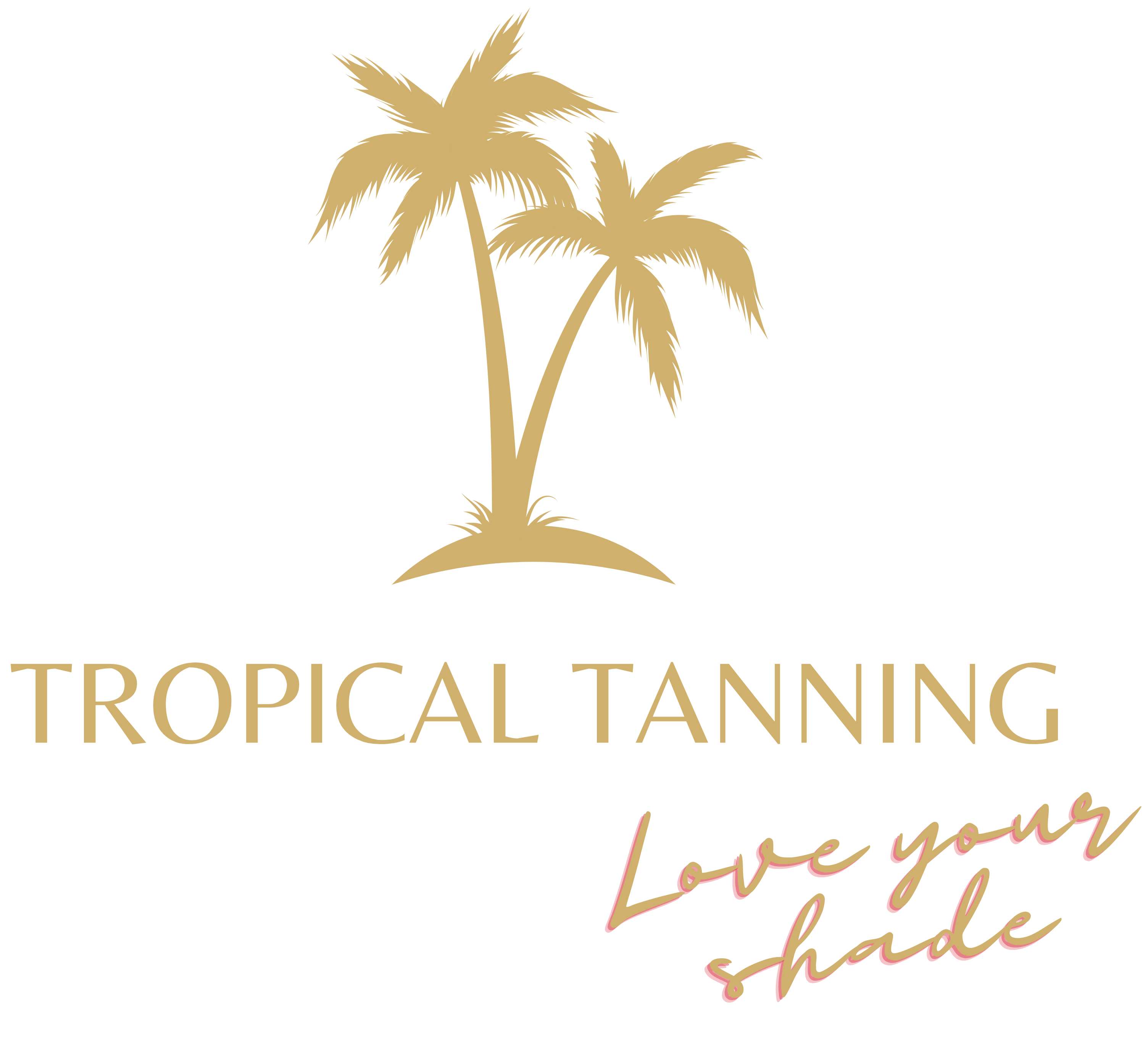 TROPICAL TANNING logo